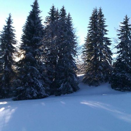 Chalet Daria Prémanon エクステリア 写真