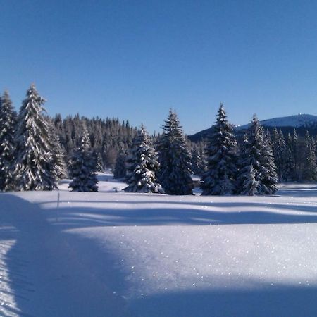 Chalet Daria Prémanon エクステリア 写真