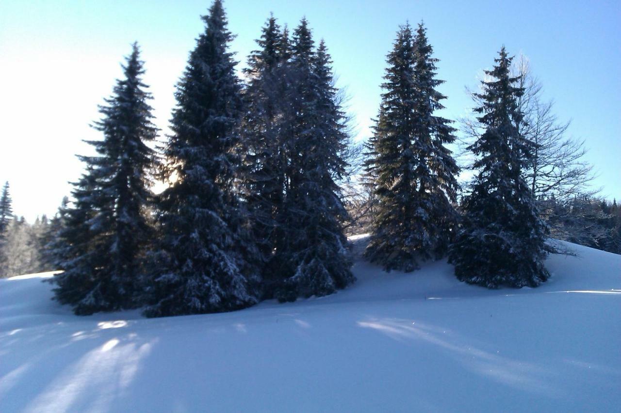 Chalet Daria Prémanon エクステリア 写真