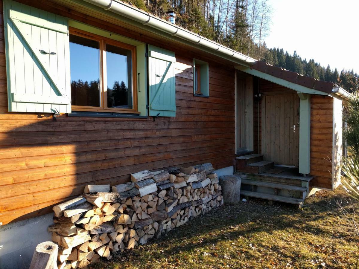 Chalet Daria Prémanon エクステリア 写真