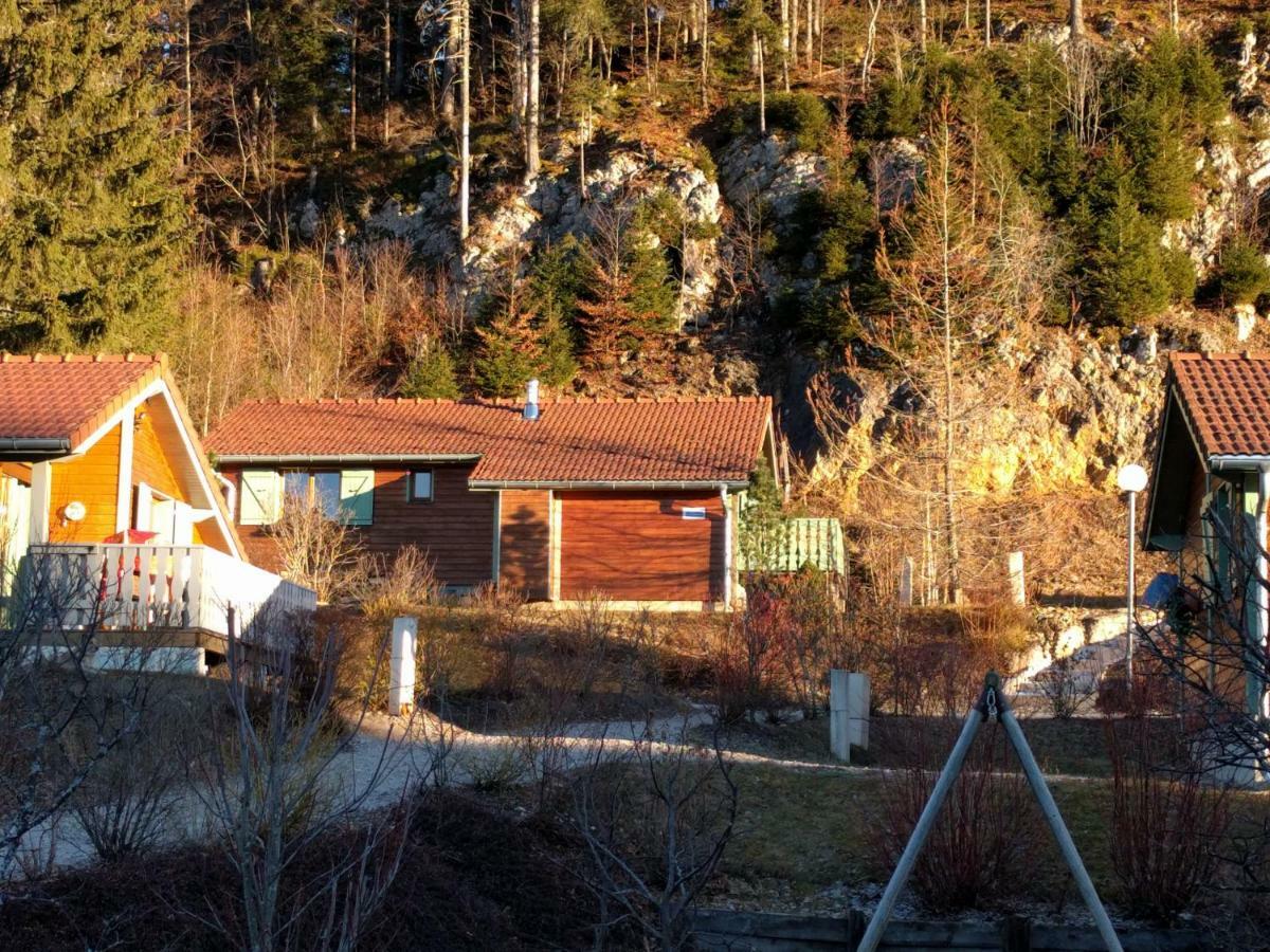 Chalet Daria Prémanon エクステリア 写真