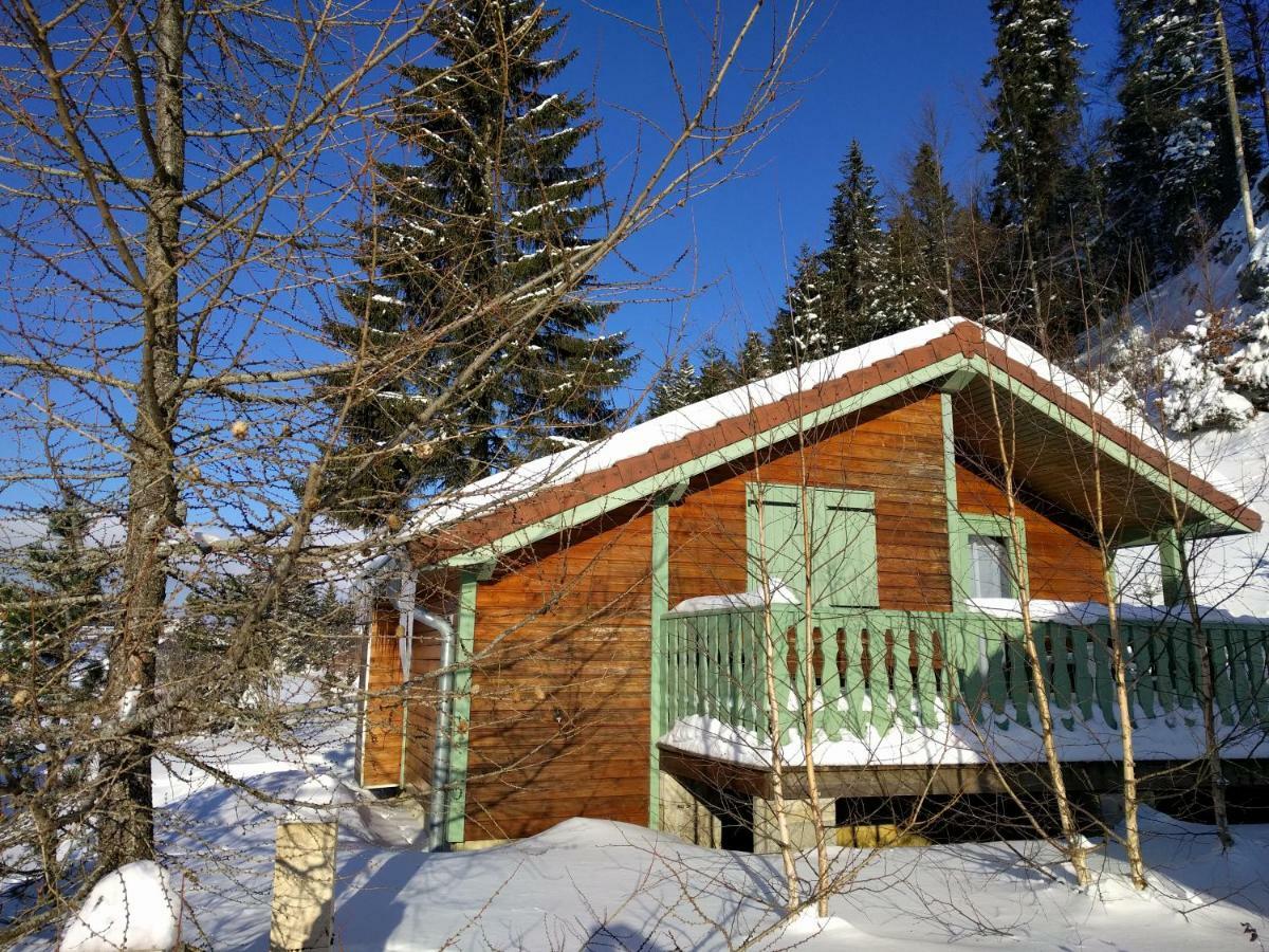 Chalet Daria Prémanon エクステリア 写真