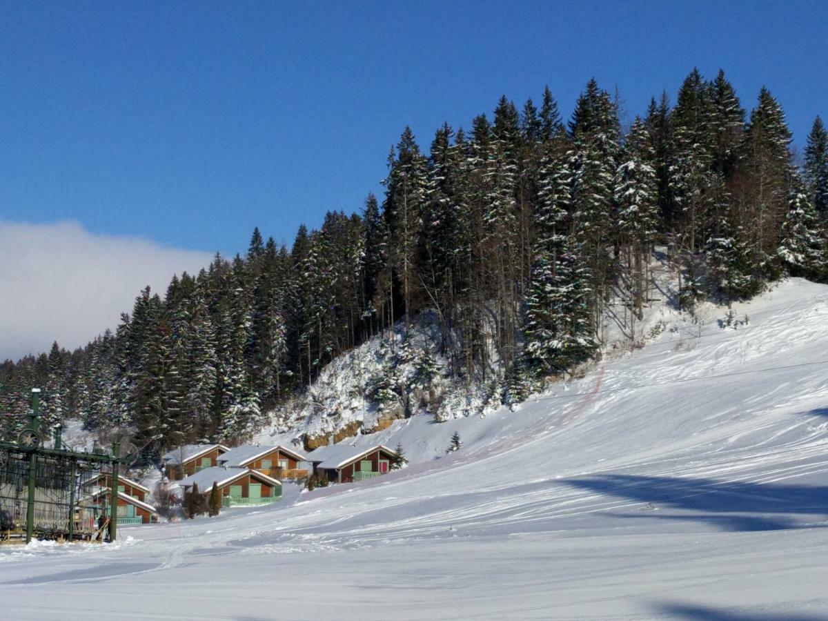 Chalet Daria Prémanon エクステリア 写真