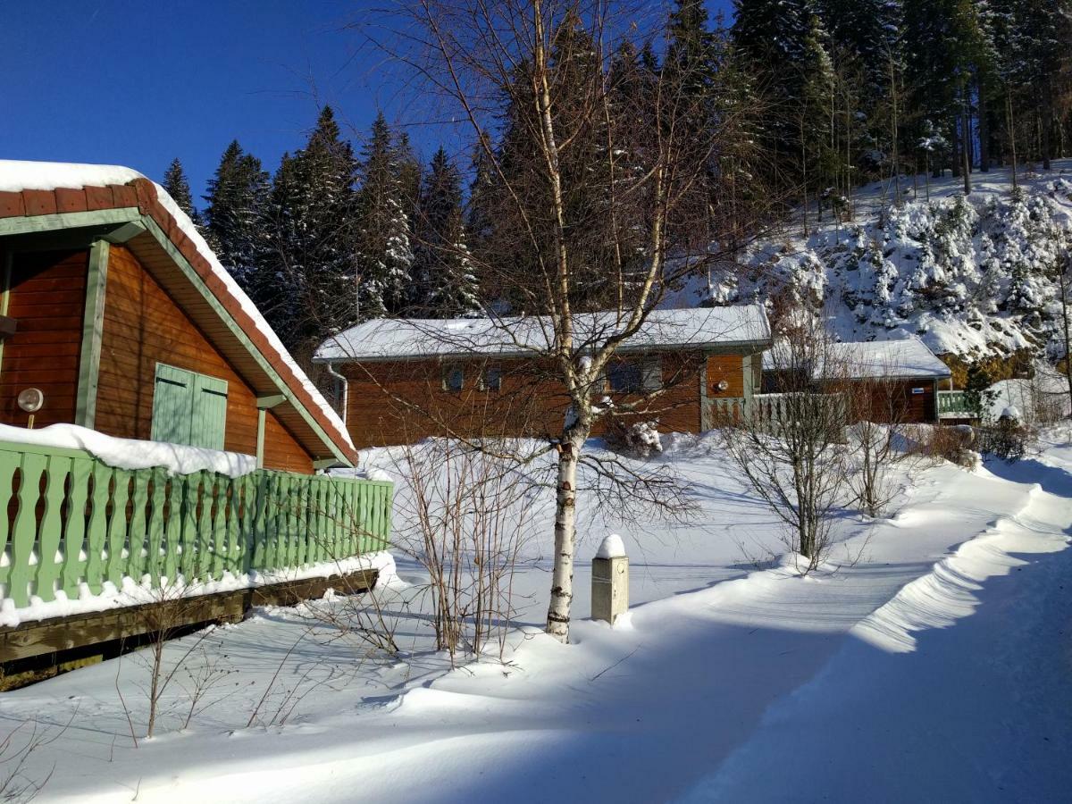 Chalet Daria Prémanon エクステリア 写真