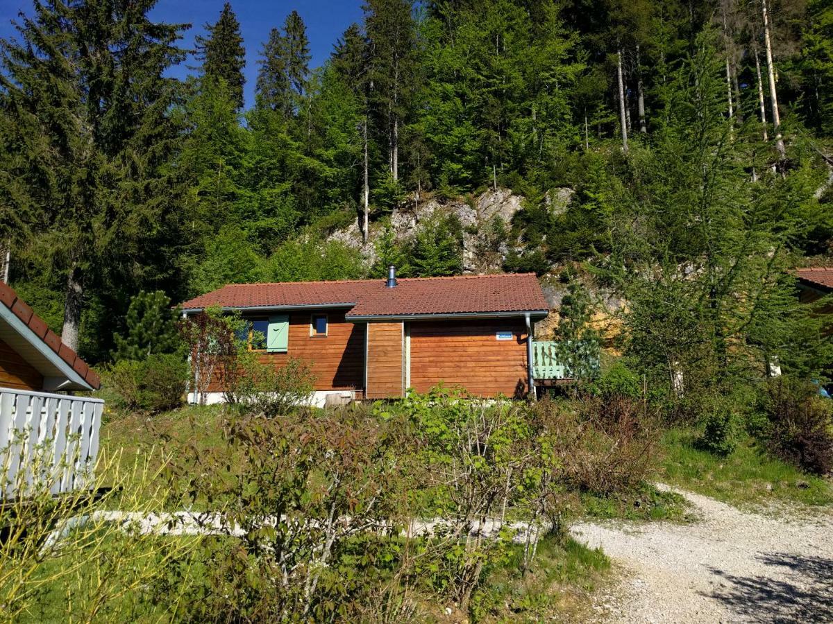 Chalet Daria Prémanon エクステリア 写真