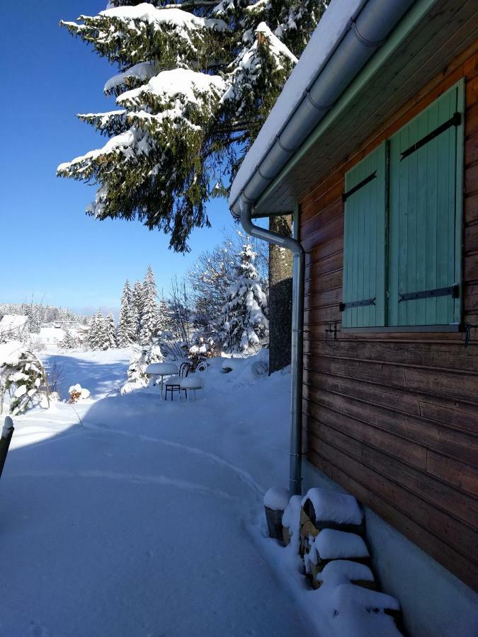 Chalet Daria Prémanon エクステリア 写真