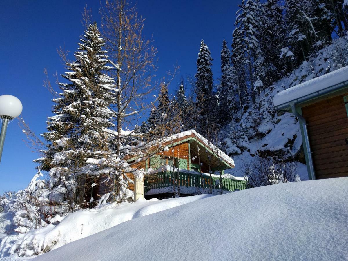 Chalet Daria Prémanon エクステリア 写真