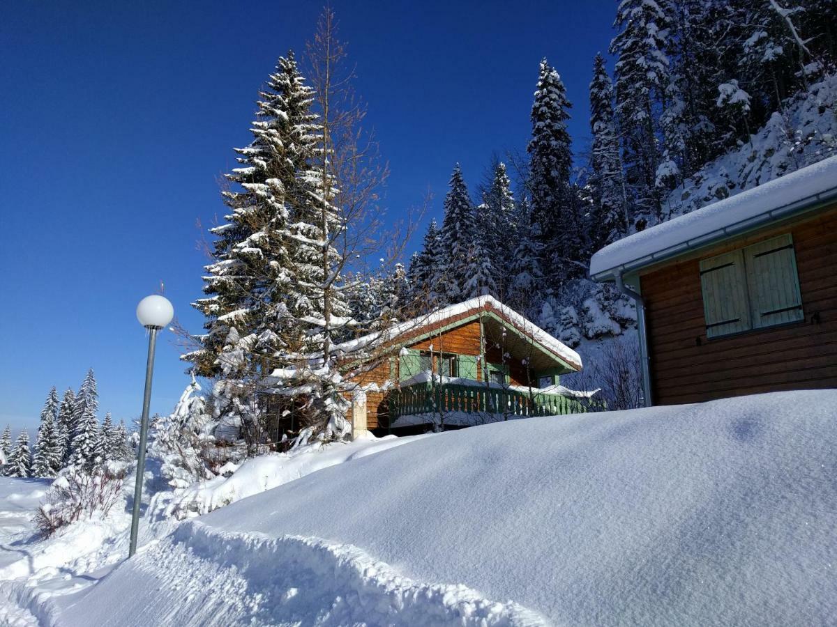 Chalet Daria Prémanon エクステリア 写真